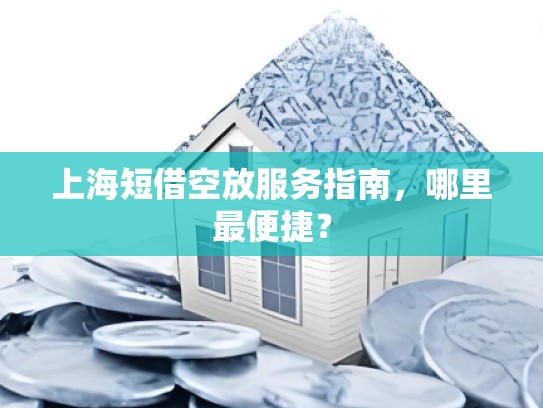 上海短借空放服务指南，哪里最便捷？