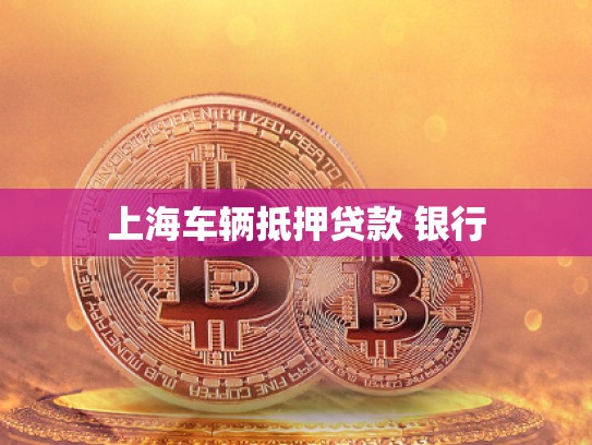 上海车辆抵押贷款 银行