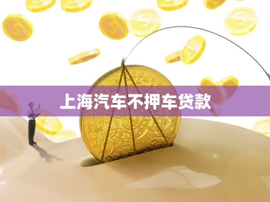 上海汽车不押车贷款