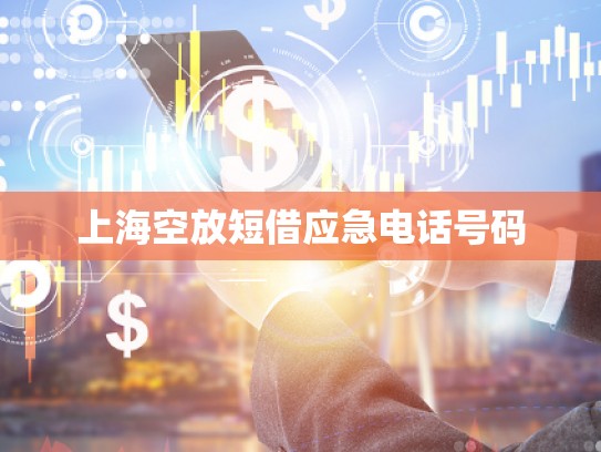 上海空放短借应急电话号码