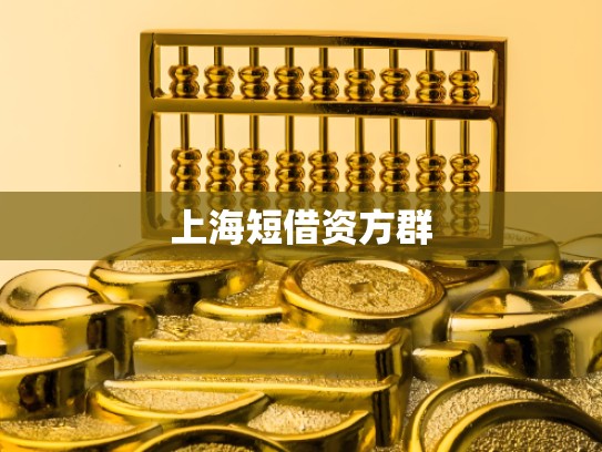 上海短借资方群